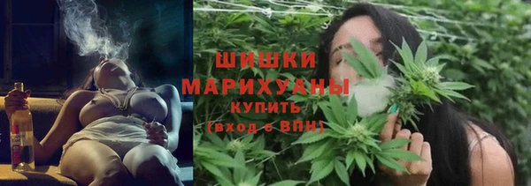 PSILOCYBIN Костерёво